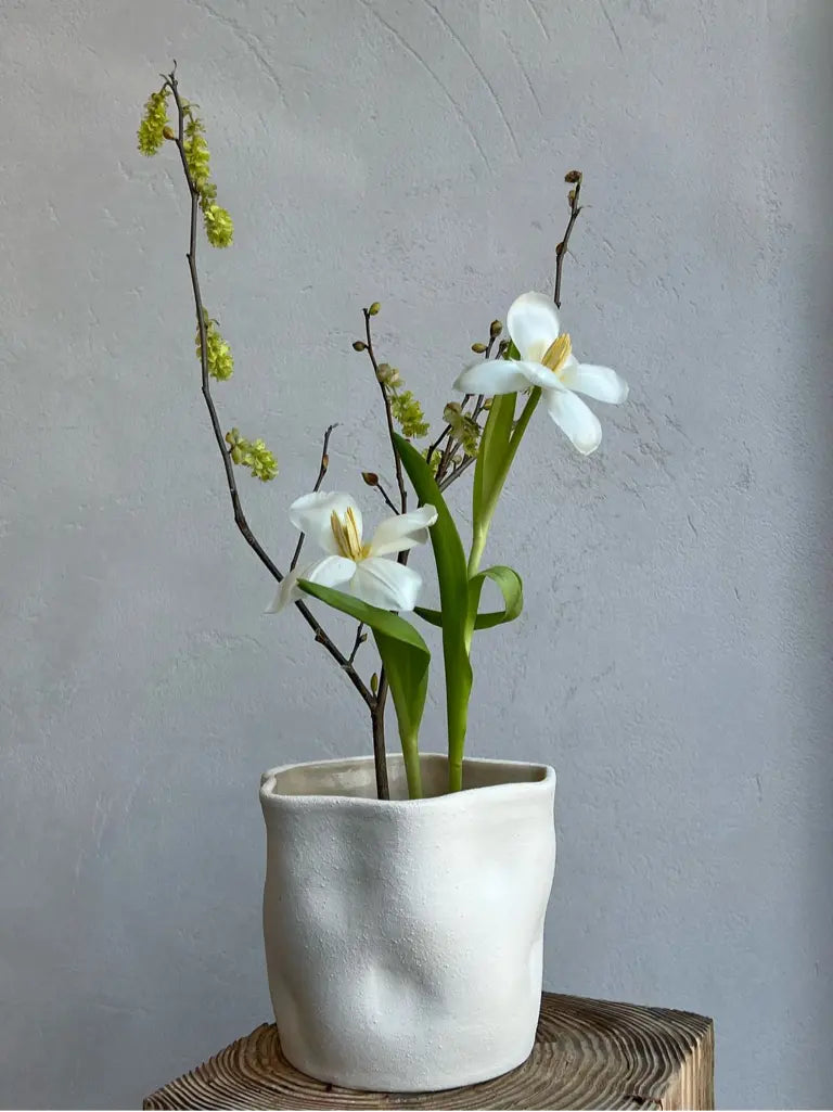 Vela Vase